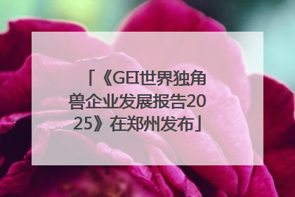 《GEI世界独角兽企业发展报告2025》在郑州发布