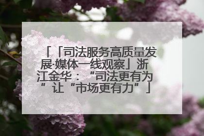 「司法服务高质量发展·媒体一线观察」浙江金华：“司法更有为”让“市场更有力”