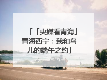 「央媒看青海」青海西宁：我和鸟儿的端午之约