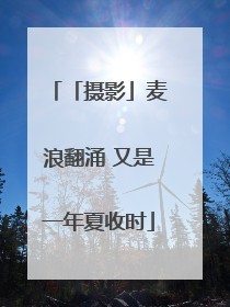「摄影」麦浪翻涌 又是一年夏收时