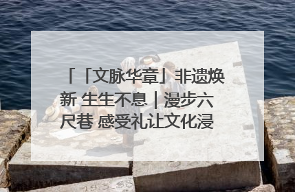 「文脉华章」非遗焕新 生生不息｜漫步六尺巷 感受礼让文化浸润的“巷”往生活