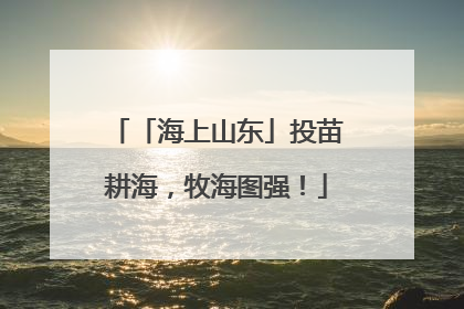 「海上山东」投苗耕海，牧海图强！