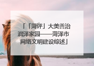 「菏评」大美善治润泽家园——菏泽市网络文明建设综述