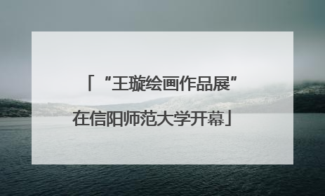 “王璇绘画作品展”在信阳师范大学开幕