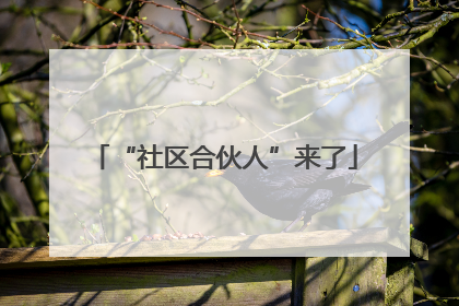 “社区合伙人”来了