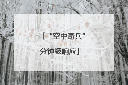 “空中奇兵”分钟级响应