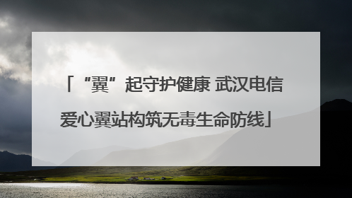“翼”起守护健康 武汉电信爱心翼站构筑无毒生命防线