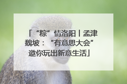 “粽”情洛阳丨孟津魏坡：“有意思大会”邀你玩出新意生活