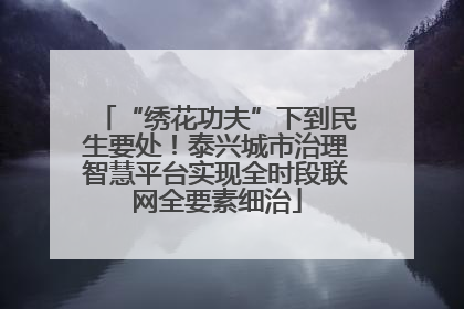 “绣花功夫”下到民生要处！泰兴城市治理智慧平台实现全时段联网全要素细治