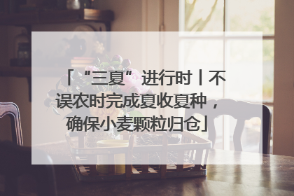 “三夏”进行时丨不误农时完成夏收夏种，确保小麦颗粒归仓