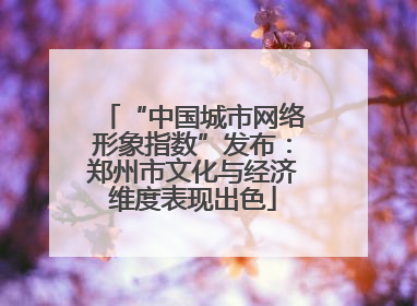 “中国城市网络形象指数”发布：郑州市文化与经济维度表现出色