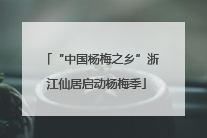 “中国杨梅之乡”浙江仙居启动杨梅季
