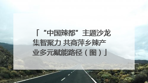 “中国辣都”主题沙龙集智聚力 共商萍乡辣产业多元赋能路径（图）