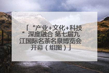 “产业+文化+科技”深度融合 第七届九江国际名茶名泉博览会开幕（组图）