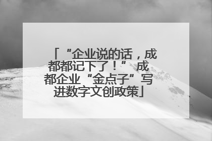 “企业说的话，成都都记下了！” 成都企业“金点子”写进数字文创政策