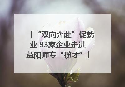 “双向奔赴”促就业 93家企业走进益阳师专“揽才”