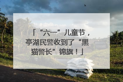 “六一”儿童节，亭湖民警收到了“黑猫警长”锦旗！