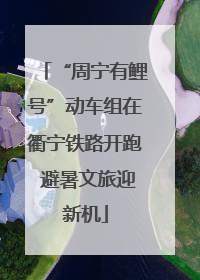 “周宁有鲤号”动车组在衢宁铁路开跑 避暑文旅迎新机