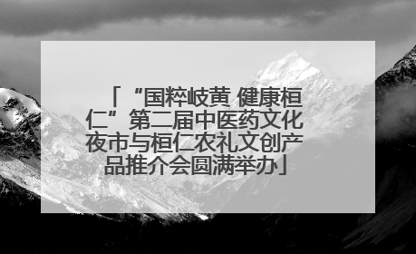 “国粹岐黄 健康桓仁”第二届中医药文化夜市与桓仁农礼文创产品推介会圆满举办