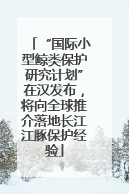 “国际小型鲸类保护研究计划”在汉发布，将向全球推介落地长江江豚保护经验