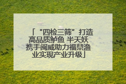 “四检三筛”打造高品质鲈鱼 半天妖携手闽威助力福鼎渔业实现产业升级