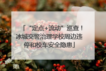“定点+流动”巡查！冰城交警治理学校周边违停和校车安全隐患