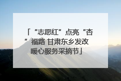 “志愿红”点亮“杏”福路 甘肃东乡发改暖心服务采摘节