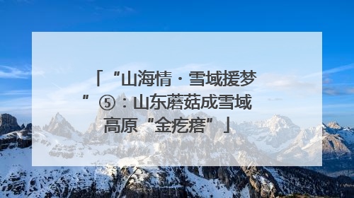 “山海情・雪域援梦”⑤：山东蘑菇成雪域高原“金疙瘩”