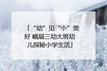 “幼”见“小”美好 峨眉三幼大班幼儿探秘小学生活