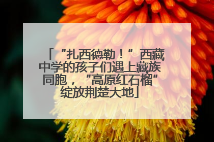 “扎西德勒！”西藏中学的孩子们遇上藏族同胞，“高原红石榴”绽放荆楚大地