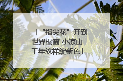 “指尖花”开到世界橱窗 小凉山千年纹样绽新色