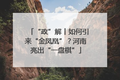 “政”解丨如何引来“金凤凰”？河南亮出“一盘棋”