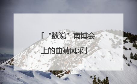 “数说”南博会上的曲靖风采
