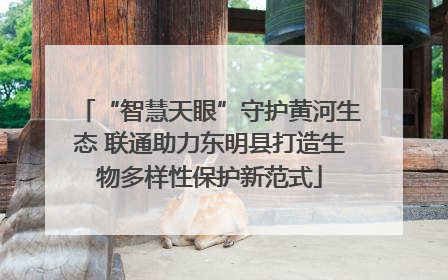 “智慧天眼”守护黄河生态 联通助力东明县打造生物多样性保护新范式
