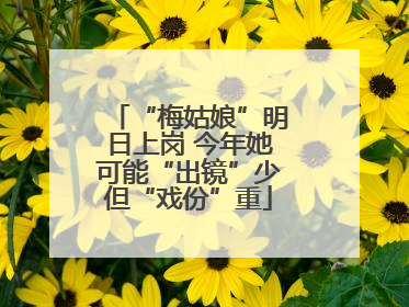 “梅姑娘”明日上岗 今年她可能“出镜”少但“戏份”重