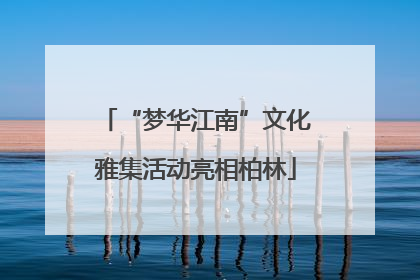 “梦华江南”文化雅集活动亮相柏林
