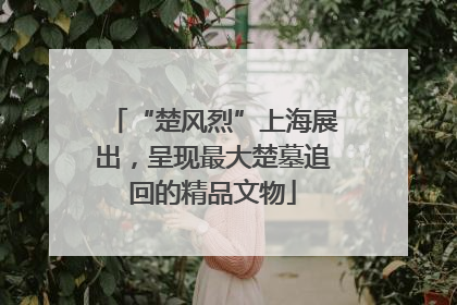 “楚风烈”上海展出，呈现最大楚墓追回的精品文物