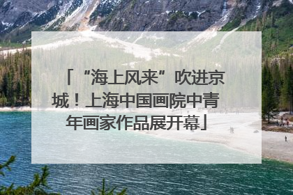 “海上风来”吹进京城！上海中国画院中青年画家作品展开幕