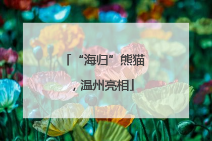 “海归”熊猫，温州亮相