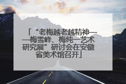 “老梅越老越精神——梅雪峰、梅纯一艺术研究展”研讨会在安徽省美术馆召开