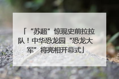 “苏超”惊现史前拉拉队！中华恐龙园“恐龙大军”将亮相开幕式