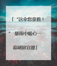 “这伞您拿着！” 暴雨中暖心一幕刷屏宜都