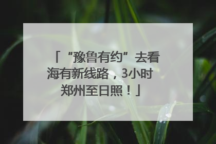 “豫鲁有约”去看海有新线路，3小时郑州至日照！