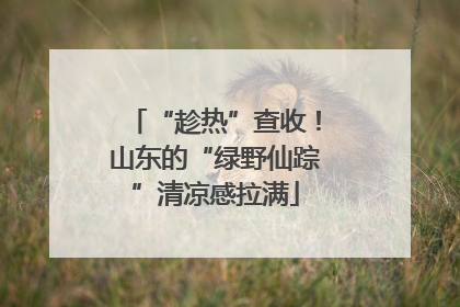 “趁热”查收！山东的“绿野仙踪”清凉感拉满