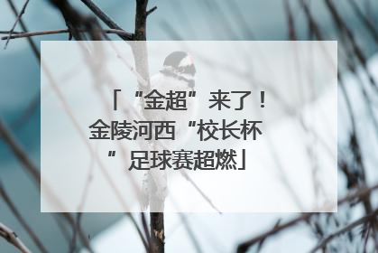 “金超”来了！金陵河西“校长杯”足球赛超燃