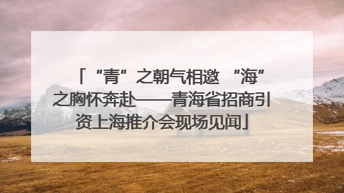 “青”之朝气相邀 “海”之胸怀奔赴——青海省招商引资上海推介会现场见闻