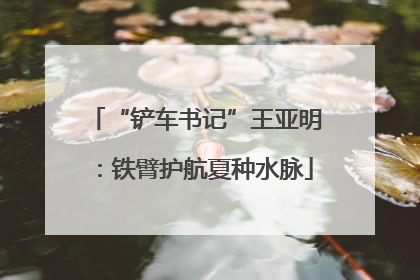 “铲车书记”王亚明：铁臂护航夏种水脉