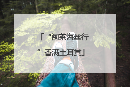 “闽茶海丝行”香满土耳其