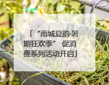 “雨城夏韵·暑期狂欢季” 促消费系列活动开启