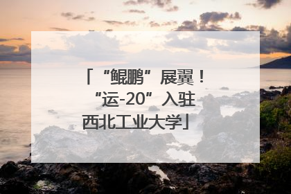 “鲲鹏”展翼！“运-20”入驻西北工业大学